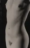 Torso to the Light by Marie-Claire Montanari, gelatin silver print, sold Oct 2019