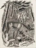 Deers in the Woods by George Constant, 1935, drypoint etching, sold Dec 2019