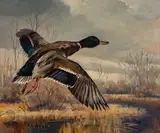 Mallard Going Out by George Browne, oil on canvas, sold Feb 2020