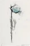 Sans titre (Betty Goodwin : 4 collection de l'ange) by Betty Goodwin, Épreuve au laser et pastel à l'huile sur pellicule de polyester, sold May 2026