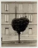 Tarn, France by Robert Bourdeau, Photographie - Épreuve gélatino-argentique, sold May 2026