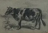 Vache au pré by Georg Dehn, 1887, Crayon gras sur papier, sold Nov 2022
