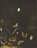 Serpent, lézard et papillons by Mathias Calzetti Withoos, Toile (usures), sold Jun 2022