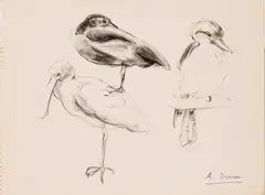 Vancouver Zoo by Arthur Lismer, 1956, ink on paper, sold Nov 2025