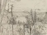 Overlooking Finlayson Arm by E. J. Hughes, 1963, graphite on paper, sold Nov 2025