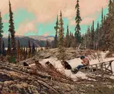 June on Great Bear by Frank Hans Johnston, oil on board, sold Oct 2025