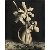 Orchidées by Laure Albin Guillot, 1938, Épreuve au charbon, tirage Fresson, 1938,, sold Dec 2016