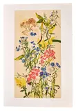 Untitled by Dorothy Dell Dennison, Lithograph, offered Dec 2020