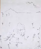 Tazza by Fernando Puma, Pen and ink on paper. Initialed bottom left, offered Dec 2020