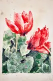 Untitled by Gene R. Summers, Watercolor. 1985. Dedicated on back to the architect Richard Saul Wurman, offered Dec 2020