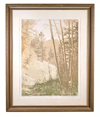 Color by Paula Crane, lithograph, offered Dec 2020