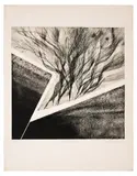 Souffle sur Eden by Jennifer Dickson, 1965, Etching with relief, offered Oct 2020