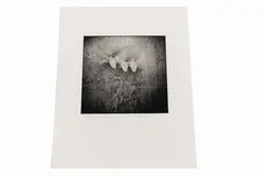 Grid Series by Rich Rollins, Gelatin silver print, offered May 2020