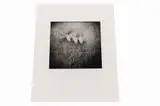 Grid Series by Rich Rollins, Gelatin silver print, offered May 2020
