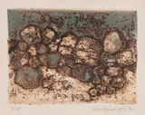 Color by Nono Reinhold, etching. 1961. From an, offered May 2020