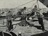 Untitled by Charles E. Pont, wood engraving on paper "Heave Up", sold Oct 2018