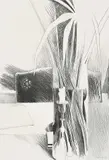 Still Life with Palm Frond and Candle Stick by Andrew Clement Verster, 1982, graphite on paper, sold Nov 2021