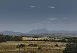 Karoo Landscape with Distant Mountains by Martin Layton, 2002, oil on board, sold Mar 2022