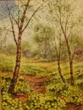 Primrose Meadow by Johann Georg de Hamilton, Watercolour, offered Apr 2026