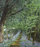 Bluebell Walk a Lancashire Wood by Ruth Camacham, Watercolour 'Bluebell Walk a Lancashire Wood', signed and dated, offered Mar 2026