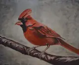 A study of a Northern Cardinal perched on a by Wayne Catterall, Oil on canvas, offered Mar 2026