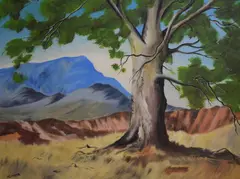 Rawnsley's Bluff, Flinders Range' a depiction of the Australian mountain and tree by Henry Leaver, Oil on board, offered Feb 2026