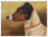 Portrait of a fox terrier by Edward Aistrop, oil on board, sold Jul 2026