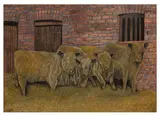 Bull Pen by James Lloyd, Pen signed 'J LLOYD', sold Jun 2026