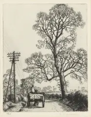 Elm Tree Near Wells by Stanley Roy Badmin, pencil, offered Jun 2026
