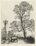 Elm Tree Near Wells by Stanley Roy Badmin, pencil, offered Jun 2026