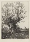 The Old Ash 1929 signed and numbered 9/40 in pencil etching on wove framed ARR Dimensions:plate 13.5 x 9.7cm by Stanley Roy Badmin, pencil, offered Jun 2026