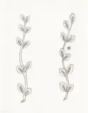 Ten Leaves with Flower at Side and Eleven Leaves by Eric Gill, pencil, offered Jun 2026