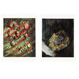 Print 1 & Print 12 by Sidney Nolan, Print, offered Jun 2026