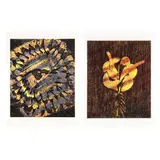 Print 2 & Print 5 by Sidney Nolan, Print, offered Jun 2026