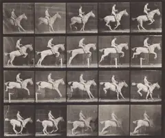 Plate 642, from Animal Locomotion, 1887 Collotype print, image size 25 x 30.5cm, sheet size 48 x61.5cm, annotated '642' in pencil lower right margin by Eadweard Muybridge, print, sold May 2026