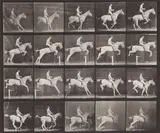 Plate 642 by Eadweard Muybridge, print, sold May 2026