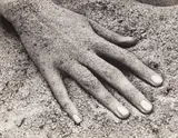 Hand on Beach by Ruth Bernhard, Silver gelatin print, printed later, pasted down to board, image/sheet size, sold May 2026