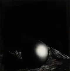Vanitas' Vintage silver gelatin print, image/sheet size 33.5 x 33cm by Marcus Leatherdale, print, offered May 2026