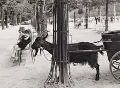 Tuileries Gardens, Paris, 1953 Silver gelatin print, printed 2022, image size 27.7 x 38cm, sheet size 30 x 40.5cm by Dorothy Bohm, Silver gelatin print, printed, sold May 2026