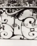 Boulevard Richard Lenoir, Paris, 1946 Silver gelatin print, printed later, mounted to card, image size 29.5 x 23.7cm by Willy Ronis, Silver gelatin print, printed later, mounted to card, image size, offered May 2026
