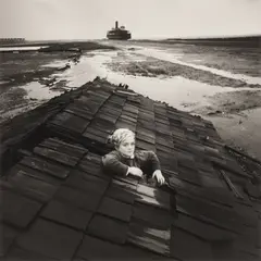 Flood Dream by Arthur Tress, Silver gelatin print, printed later, image size, offered May 2026