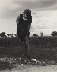 Y Por Los Noches Gemia by Manuel Álvarez Bravo, Silver gelatin print, printed later, image size, sold May 2026