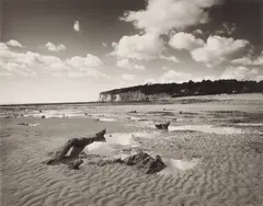 Petrified Wood by Fay Godwin, Wood, Pett Level [from the Pett Level series], offered May 2026