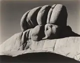 Wonderland of Rocks by Edward Weston, print, sold May 2026