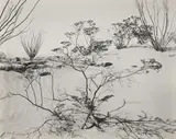 Desert by Brett Weston, print, offered May 2026
