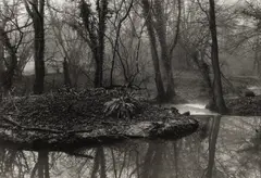 Westcombe Somerset by Don McCullin, Silver gelatin print, printed later, image size, sold May 2026