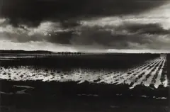 The Somerset Levels by Don McCullin, Silver gelatin print, printed later, image size, sold May 2026