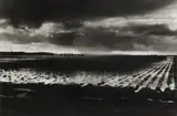 The Somerset Levels, 1992 Silver gelatin print, printed later, image size 36 x5 4.5cm, sheet size 50.5 x 61cm by Don McCullin, Silver gelatin print, printed later, image size, sold May 2026