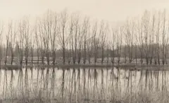 Waterscape #19 by Tomio Seike, print, sold May 2026