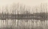 Waterscape #19, 2001 Toned silver gelatin print, image size 11.5 x 19.2cm, sheet size 25.7 x 32.5cm by Tomio Seike, print, sold May 2026